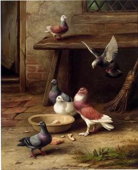 unknow artist Pigeons 194